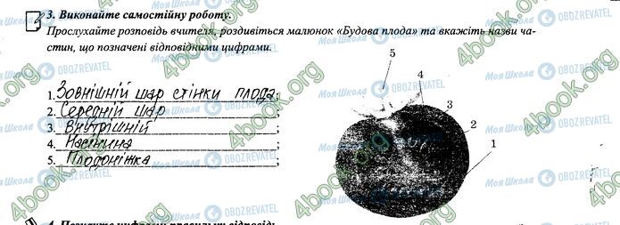 ГДЗ Биология 6 класс страница 42-43.3